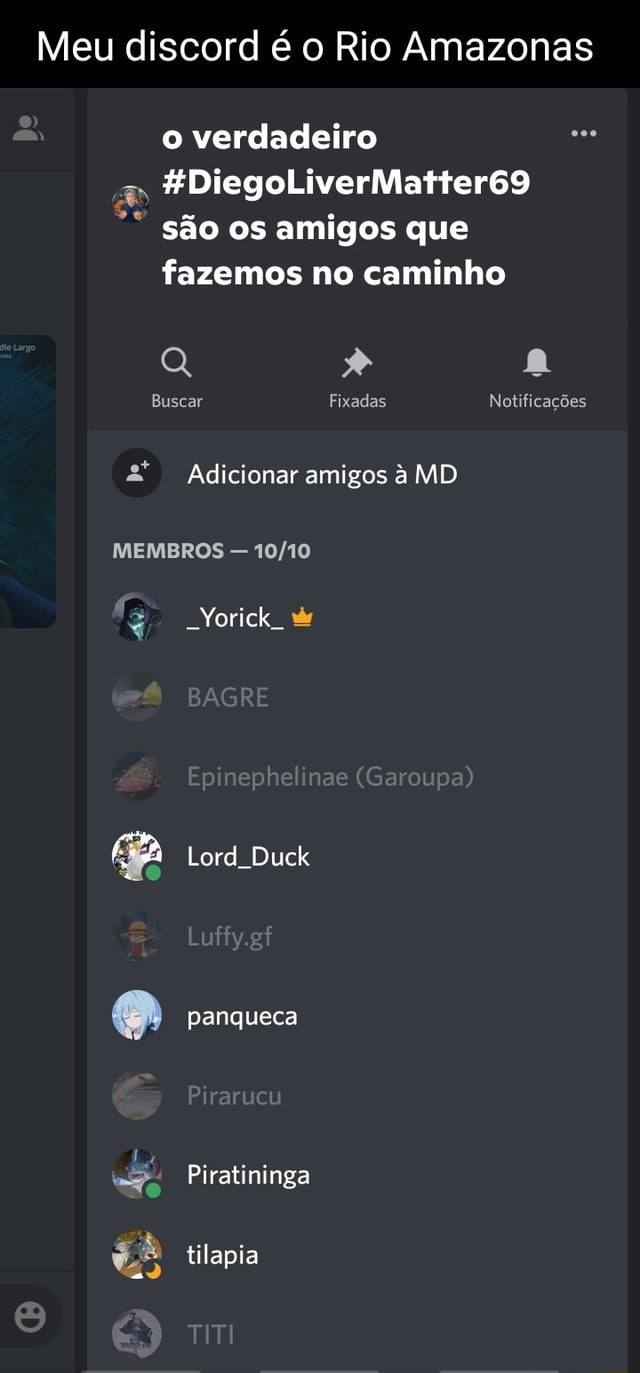 Meu discord é o Rio as o verdadeiro HDiegoLiverMatter69 são os amigos  que fazemos no caminho