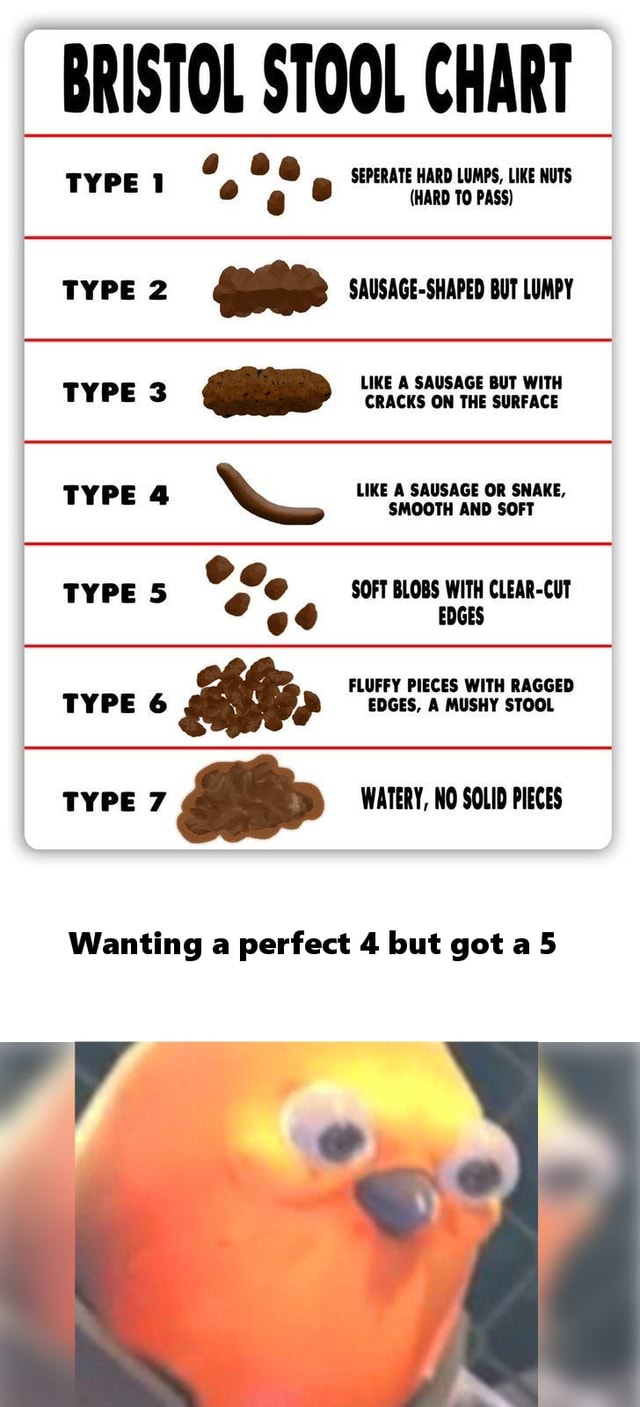 BRISTOL STOOL CHART SEPERATE HARD LUMPS, LIKE NUTS TYPEt e (HARD TO ...