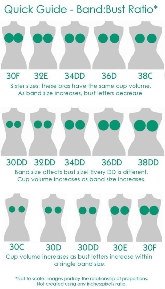Quick Guide Band:Bust Ratio* Sister sizes: these bras have the same cup  volume. As band size increases, bust letters decrease. Band size affects bust  size! Every DD is different. Cup volume increases