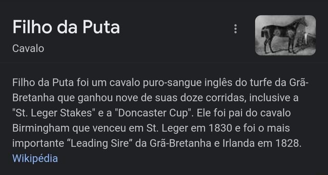 Visão  Era uma vez um cavalo de corrida chamado Filho da Puta