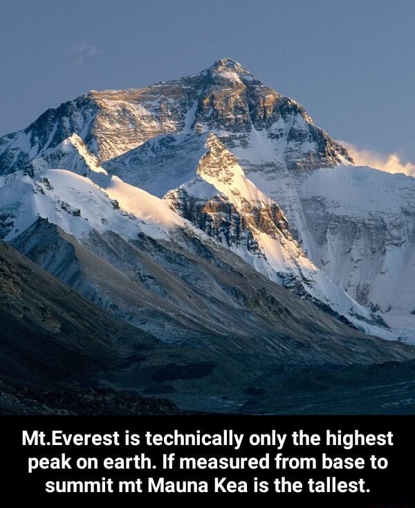 Mt.Everest is technically only the highest peak on earth. If measured from  base to summit mt Mauna Kea is the tallest. - Mt.Everest is technically  only the highest peak on earth. If measured from base to summit mt Mauna  Kea is the tallest. - iFunny Brazil