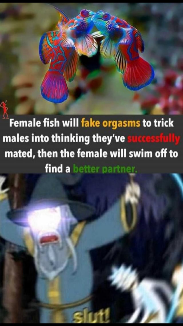 Female fish will fake orgasms to trick males into thinking they ve