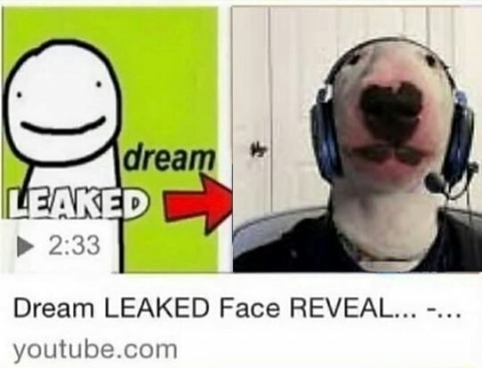 dream leaked face reveal : r/ComedyHell