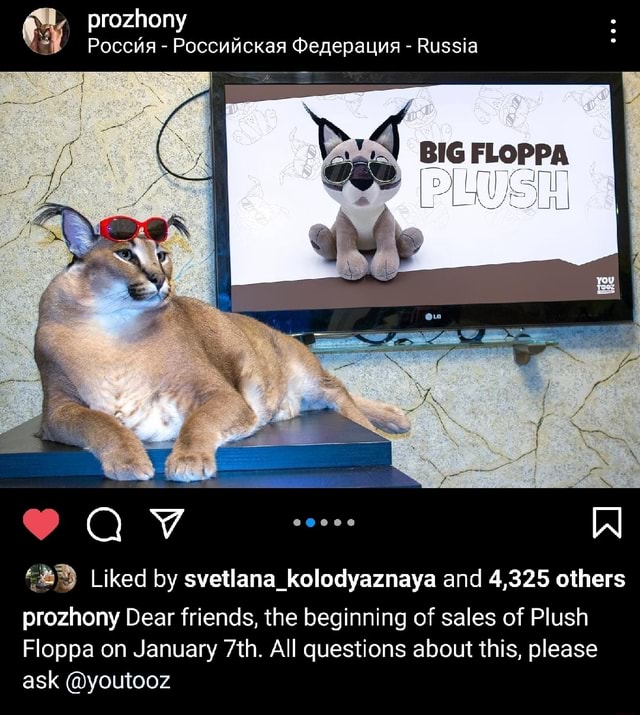 Floppa, A Big Russian Cat by Aizik