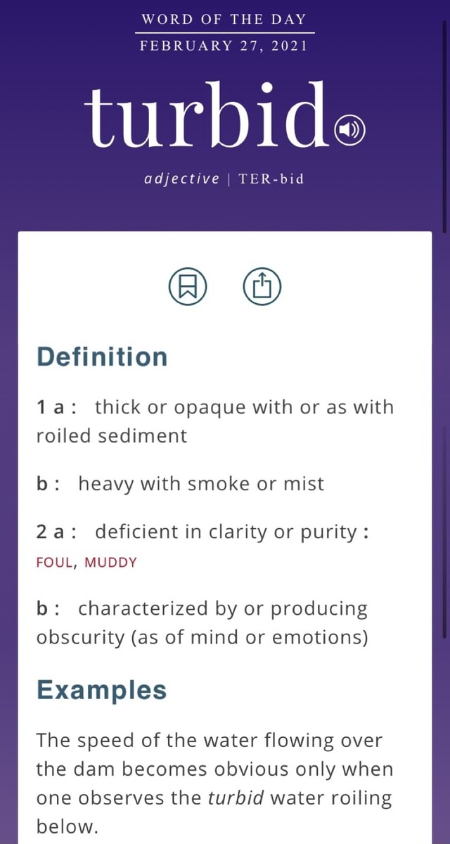 WORD OF THE DAY FEBRUARY 27, 2021 turbide adjective I TERbid
