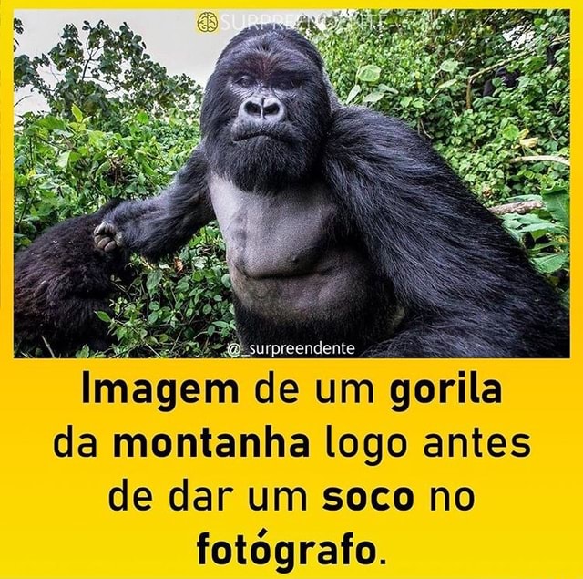 Olhem essa foto que tirei de uma nuvem que parece um gorila baforando -  iFunny Brazil