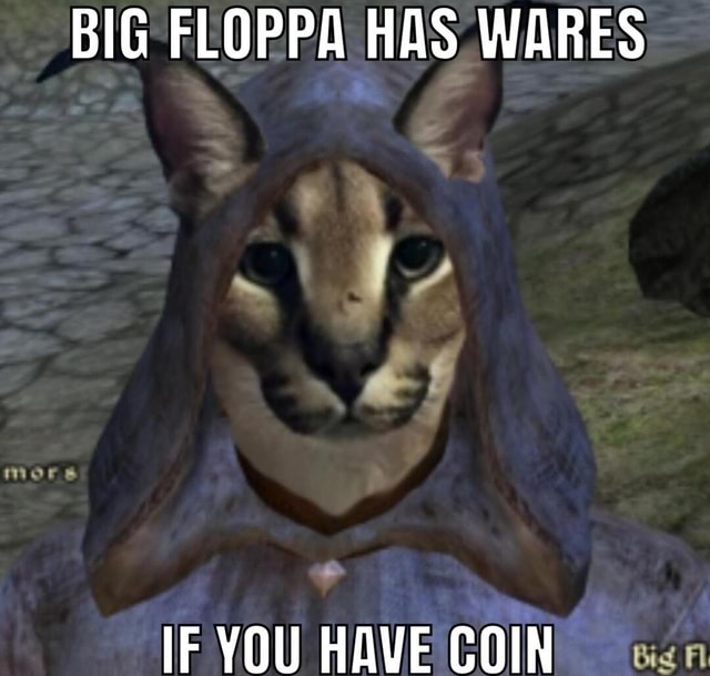 BIG FLOPPA HAS WARES IF VOT HAVE COIN iFunny Brazil