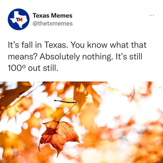 Texas Memes @thetxmemes It's fall in Texas. You know what that means ...