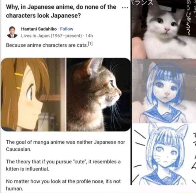 What Would Cats Look Like As Anime Girls? This Japanese