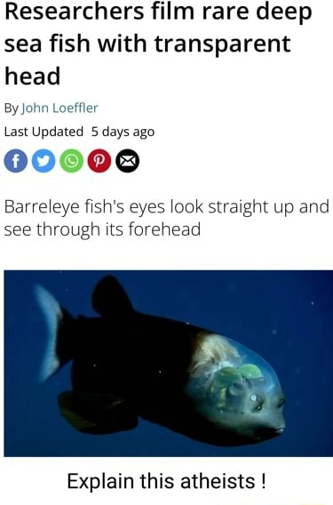 Researchers film rare deep sea fish with transparent head By John ...