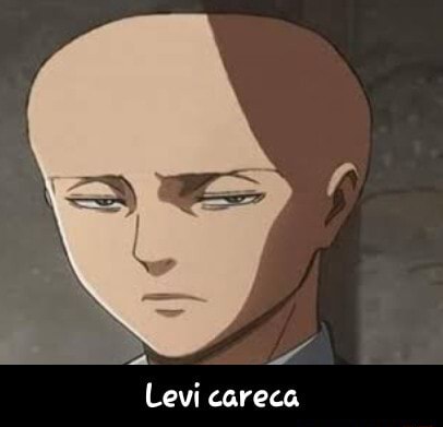 Personagens de anime carecas on X: levi careca.  /  X