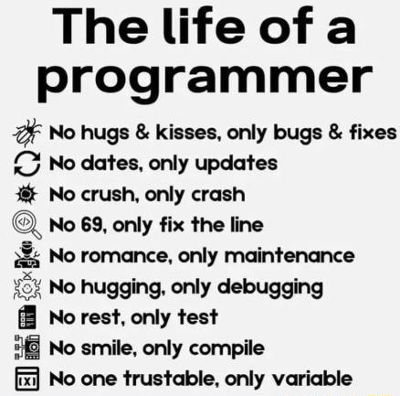 wallpaper Programmers life Fixed .