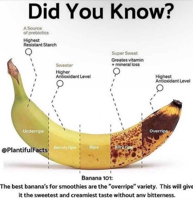 Did You Know? Source of prebiotics Highest Resistant Starch Super Sweet