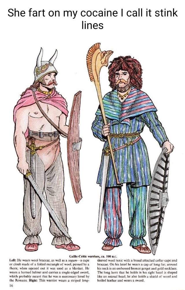 She fart on my cocaine I call it stink lines Gallic-Celtic warriors, ca.  100 B.c. Left: He wears wool braccae, as well as a sagum-a cape or cloak  made of a folded
