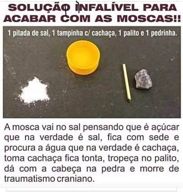 SOLUÇÃO INFALIVEL PARA ACABAR COM AS MOSCAS!! A mosca vai no sal