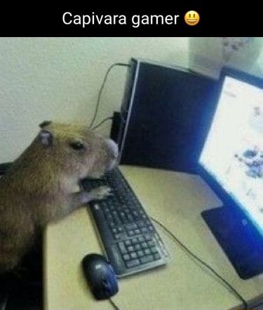 Capivara gamer - iFunny Brazil