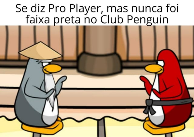 Club Penguin News: Ninja fogo e água