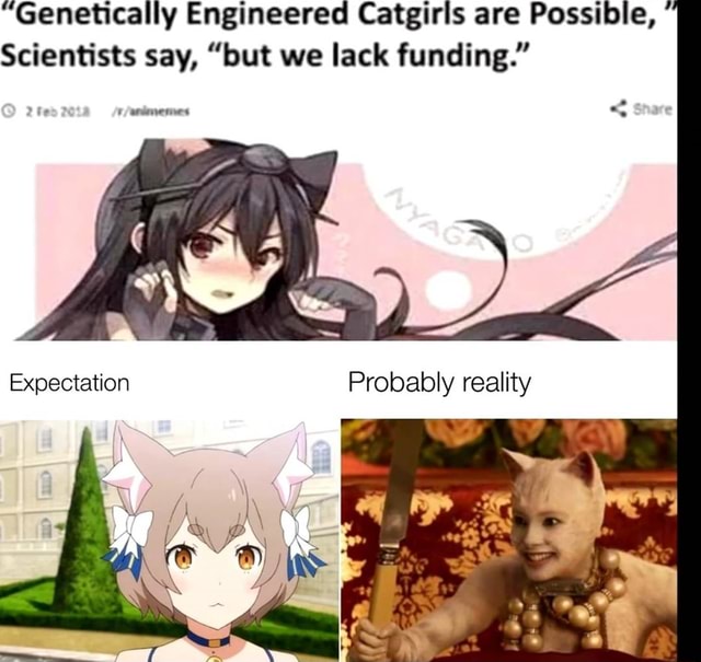 Genetically engineered catgirls. Expectations vs reality. - iFunny Brazil