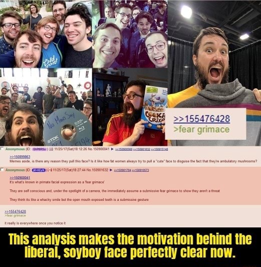 This analysis makes the motivation behind the liberal, soyboy face ...