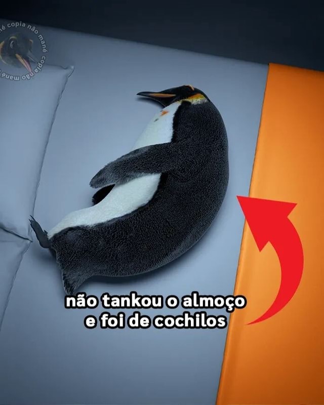 Não tankou tanta fofura e foi de base! ⚰