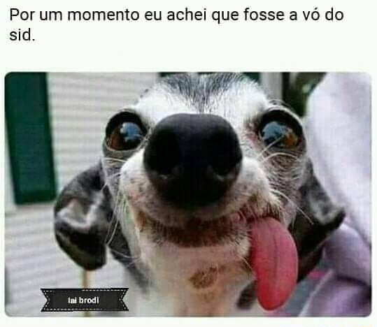 Aquela trend da vó do Sid•, meme?