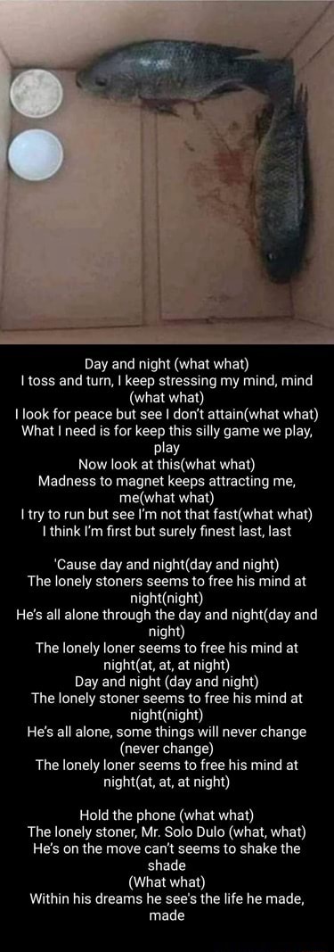 Day and night (what what) toss and turn, I keep stressing my mind, mind (what  what) look for peace but see I don't what) What need is for keep this silly  game