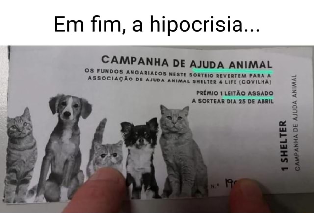 Covabra Supermercados entrega doações da campanha Minha Sorte é Animal -  Sincovaga