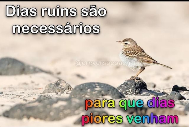 Dias ruins são necessários G O) piores venham - iFunny Brazil