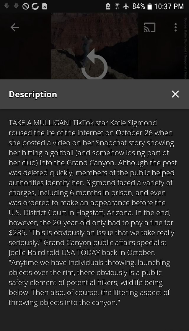 84 PM Description TAKE A MULLIGAN! TikTok star Katie Sigmond roused(02)