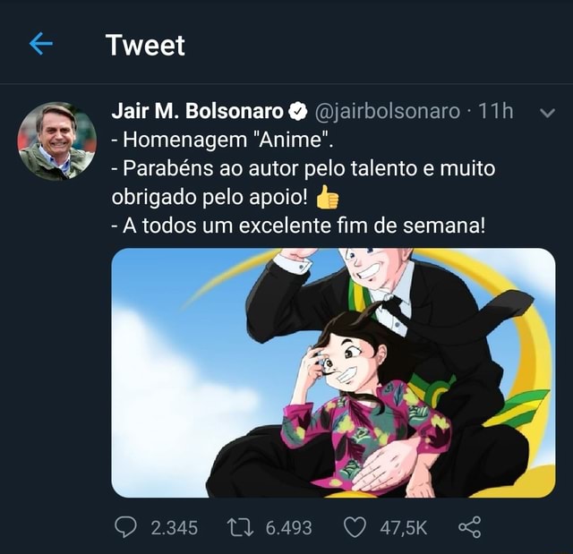 Jair M. Bolsonaro QQ - Obrigado pela homenagem anime! Nota 10! - iFunny  Brazil