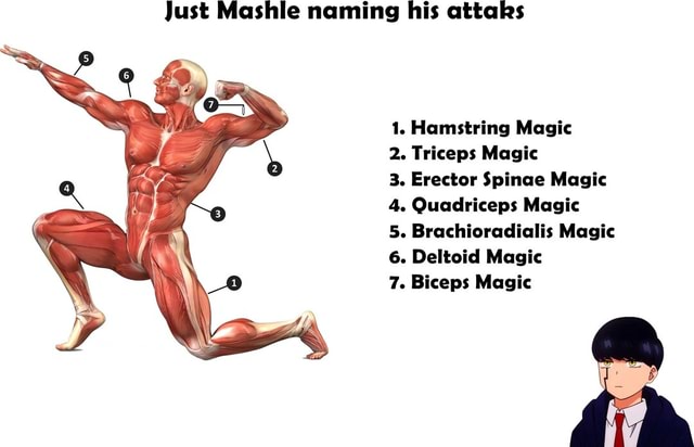 MASHLE: MAGIC AND MUSCLES - Hamstring Magic, muscle organ, hamstring  muscles, magic, Hamstring Magic ✨ (via Mashle: Magic and Muscles), By  Crunchyroll