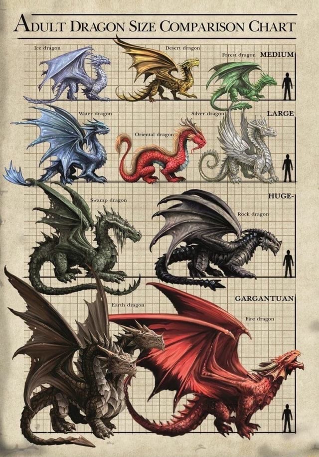 Comparison of the Dragons of Middle-Earth