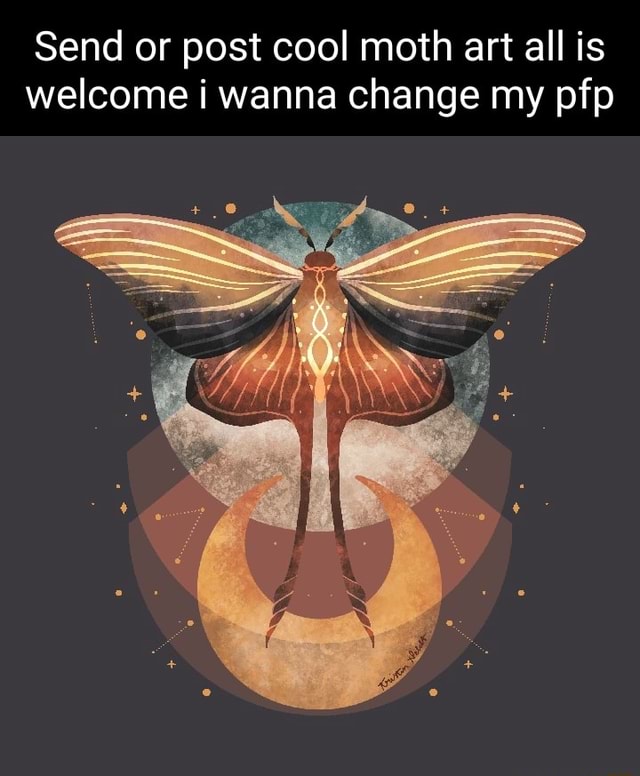 My moth oc is basically gone, so imma pick new pfp. Can you help