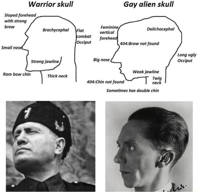 Warrior skull Gay alien skull Sloped forehead with strong brow