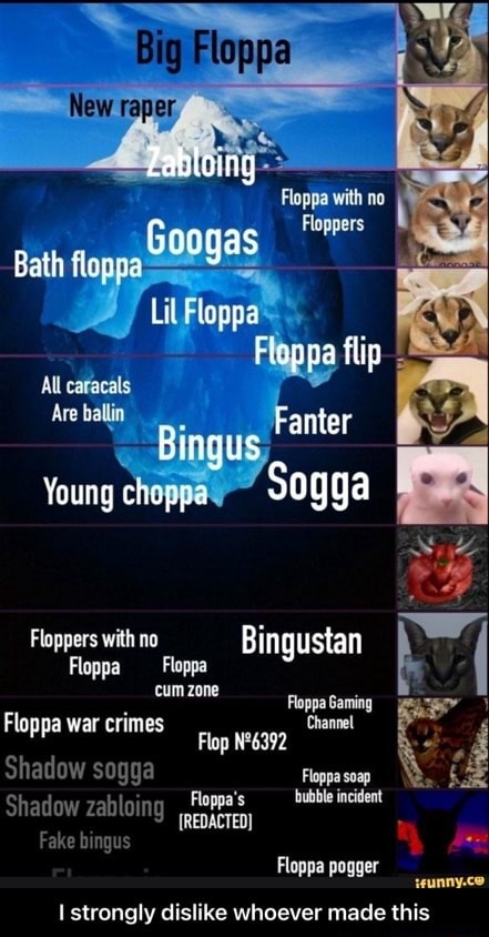 Why are Big Floppa and Bingus enemies? (subtitles in english) 