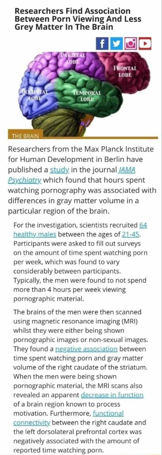 Researchers Find Association Between Porn Viewing And Less Grey Matter In  The Brain Researchers from the Max Planck Institute for Human Development  in Berlin have published a study in the journal /AMA