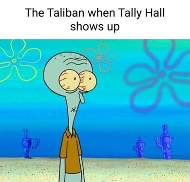 Holup, Taliban! : r/HolUp