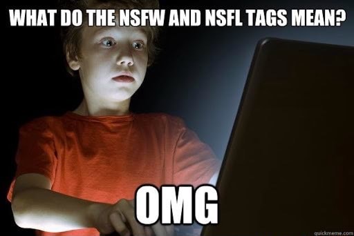 What does NFSW mean in computing