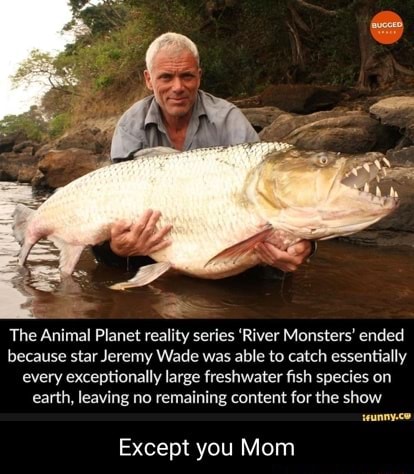 TIL that the Animal Planet reality series 'River Monsters' ended because  star Jeremy Wade was able to catch essentially every exceptionally large  freshwater fish species on earth, leaving no remaining content for