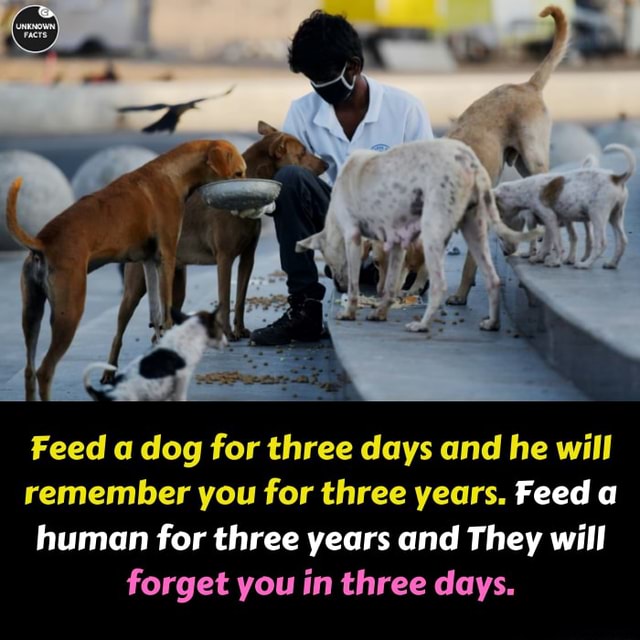 DEMIC - Feed a dog for three days they will remember you for three