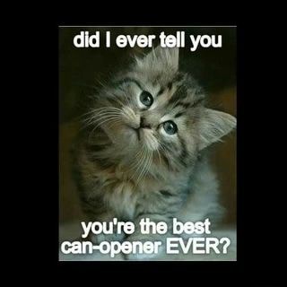 Canopener memes. Best Collection of funny Canopener pictures on iFunny