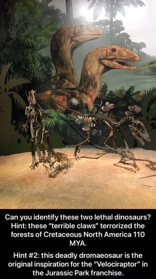 Deinonychus The Raptor That Terrorized Cretaceous North America