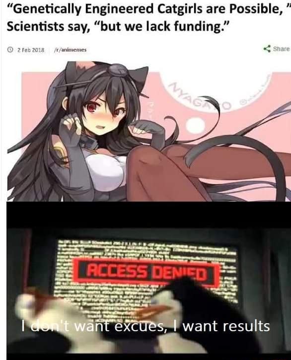 What is holding us back from being able to create genetically engineered  catgirls? - Quora