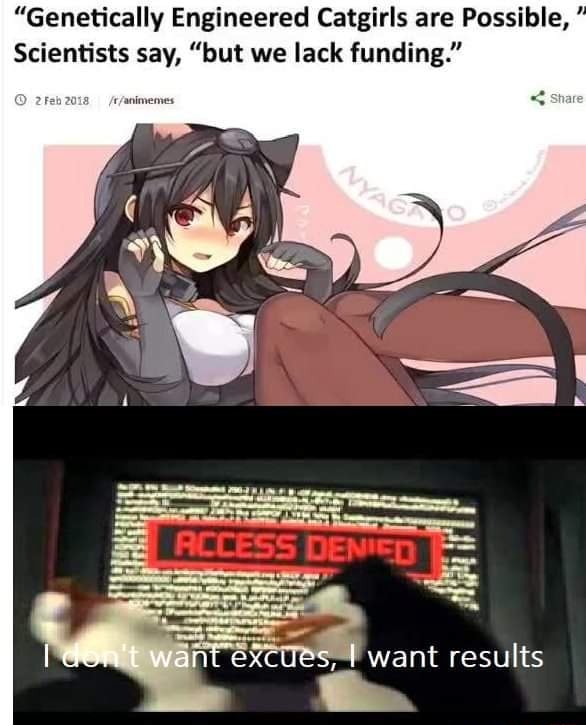 Is it worth the cost?, Genetically Engineered Catgirls