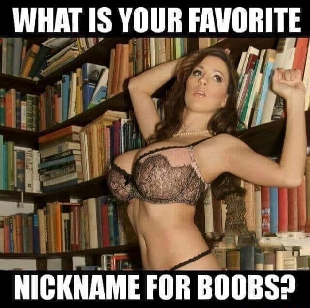 WHAT IS YOUR FAVORITE NICKNAME FOR BOOBS? - iFunny Brazil