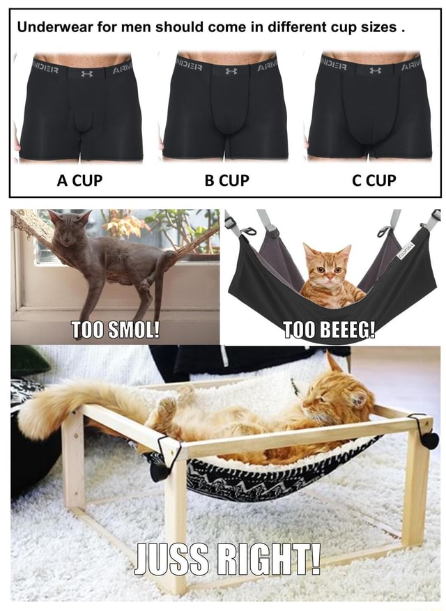 Underwear for men should come in different cup sizes . TOO SMOL! BEEEG! -  iFunny Brazil