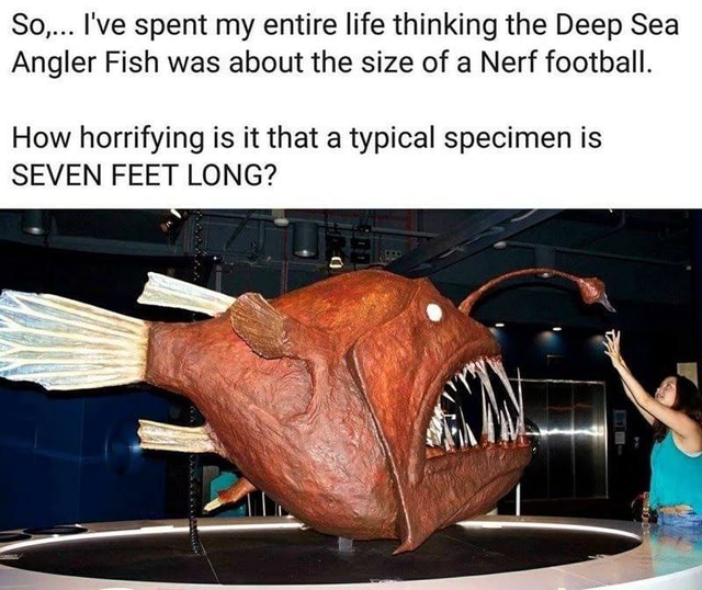 So, I've spent my entire life thinking the Deep Sea Angler Fish was  about the size of a Nerf football. How horrifying is it that a typical  specimen is SEVEN FEET LONG? 