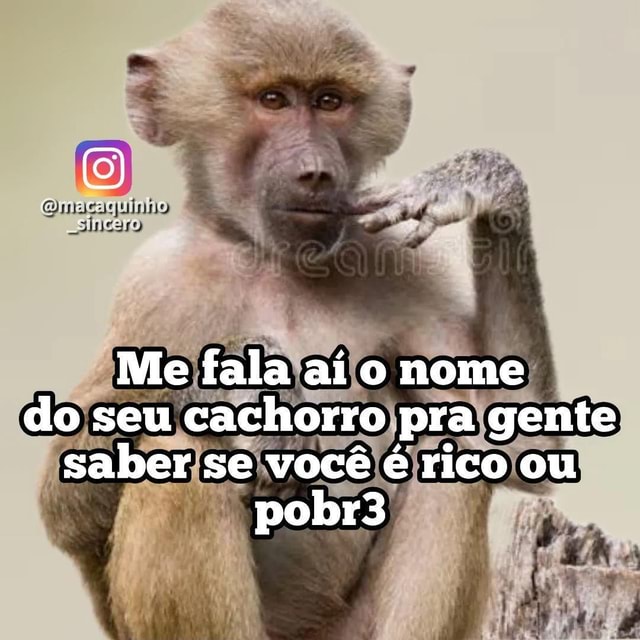 Macaco Sincero - Macaco Sincero added a new photo.