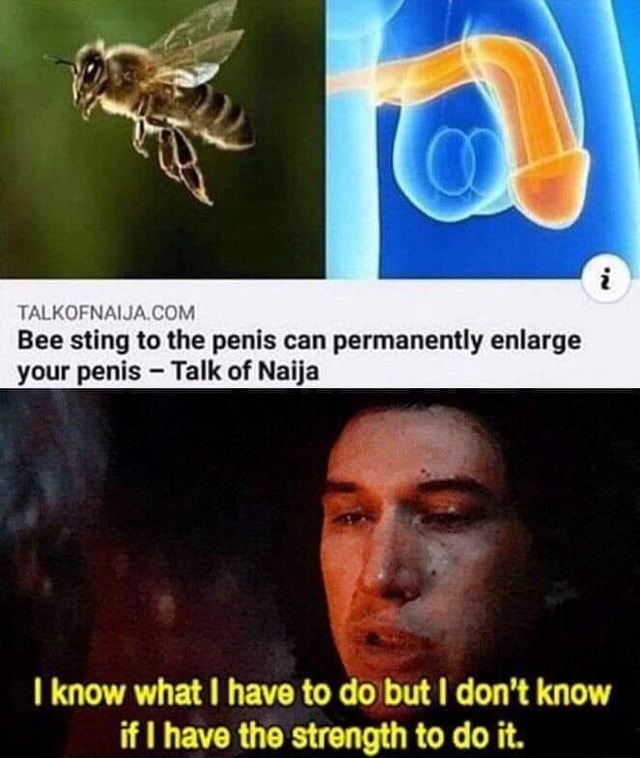 TALKOFNAIJA.COM Bee sting to the penis can permanently enlarge