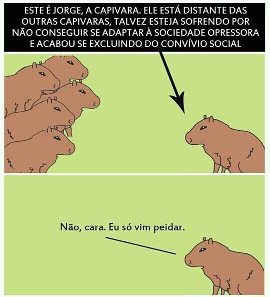 Capivara meme roblox em 2023  Fotos de capivara, Capivara, Capivaras